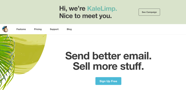 MailChimp Brand Repositioning